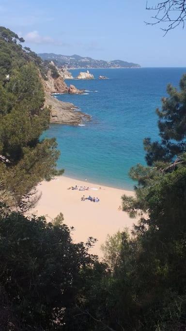 Alegre Apto Con Piscina, A 300M De La Playa. Blanes Exteriér fotografie